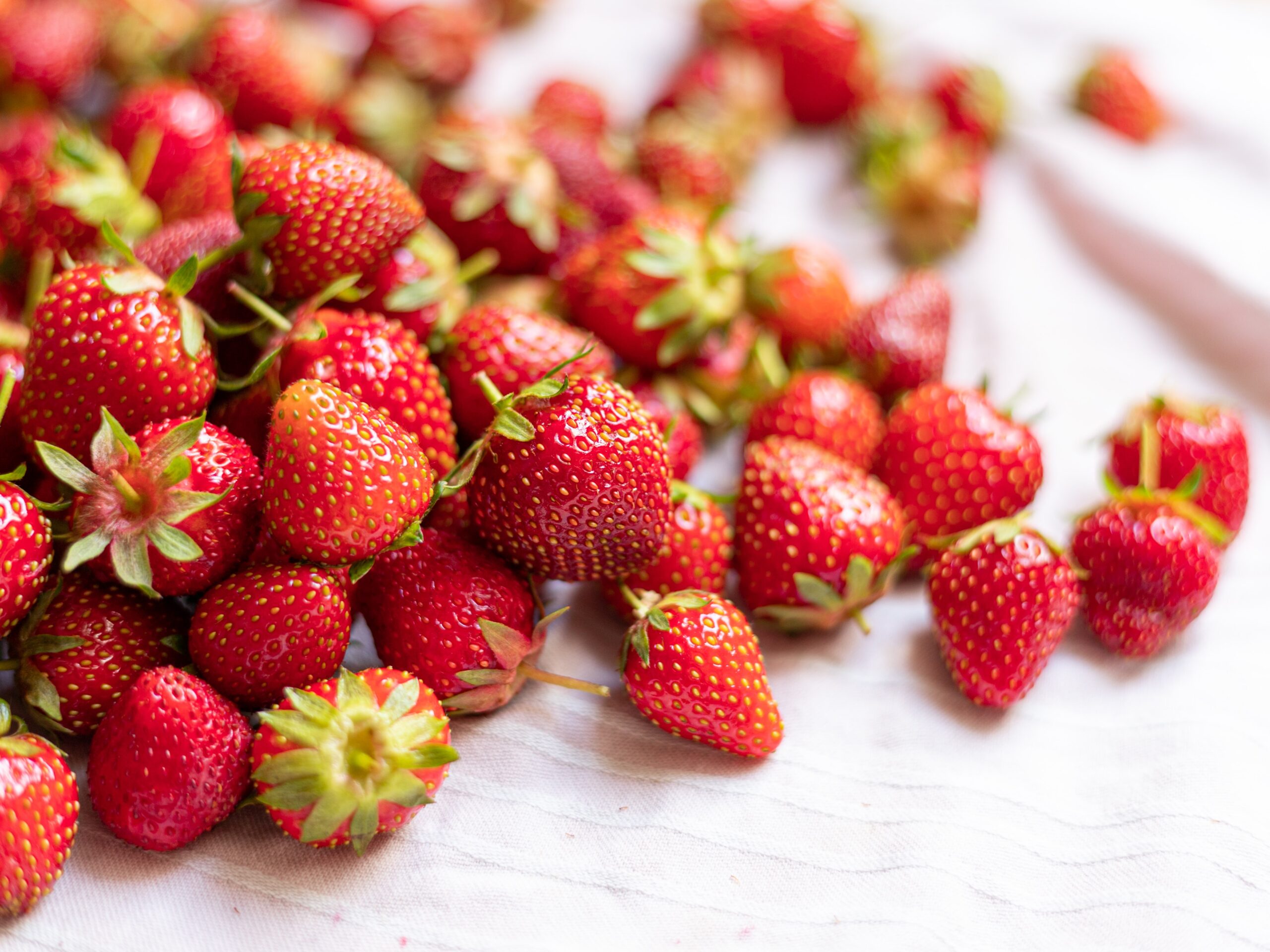 Strawberries & Sunshine! TYOH Day 14, June 2021