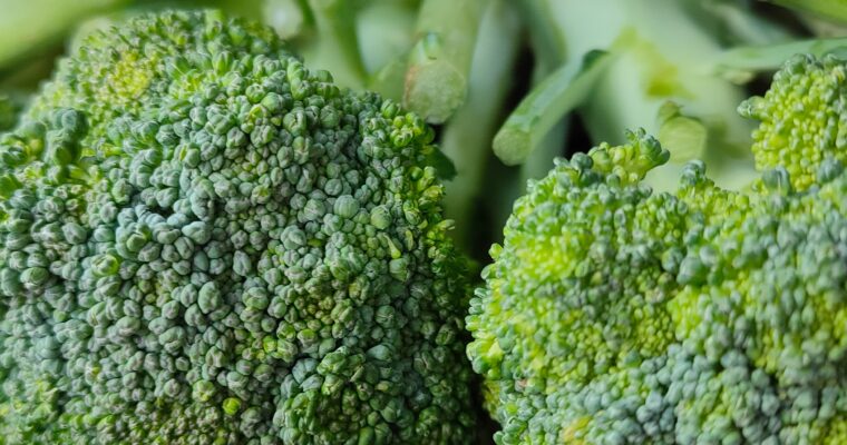 Day 46: Sulforaphane – one of the most potent anti-cancer compounds ever discovered (TYOH, July 2021)